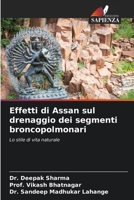 Effetti di Assan sul drenaggio dei segmenti broncopolmonari (Italian Edition) 6207862651 Book Cover