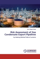 Risk Assessment of Gas Condensate Export Pipelines 6200535892 Book Cover