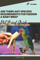 Are there any specific requirements for feeding a baby bird?: Pet bird guide B0CSXG6V2G Book Cover