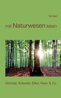mit Naturwesen leben: Wichtel, Kobolde, Elfen, Feen & Co. 3839128714 Book Cover