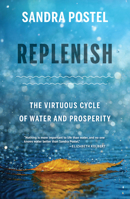 Replenish: The Virtuous Cycle of Water and Prosperity 1610917901 Book Cover