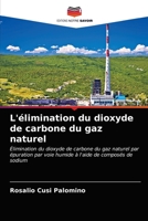 L'élimination du dioxyde de carbone du gaz naturel 6203360023 Book Cover