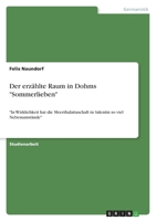 Der erzählte Raum in Dohms Sommerlieben: In Wirklichkeit hat die Meerthalattaschaft in Salentin so viel Nebenumstände 3346703908 Book Cover