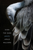 Even the Dark 0809337495 Book Cover