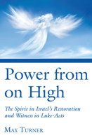 Power from on High: The Spirit in Israel's Restoration and Witness in Luke-Acts (Journal of Pentecostal Theology. Supplement Series, 9) 1850757569 Book Cover