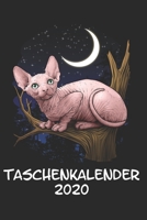 Taschenkalender 2020: Taschenkalender für Sept. 2019 bis Dezember 2020 A5 Terminplaner Wochenplaner Terminkalender Wochenkalender Organizer mit Sphynx-Katze Nacktkatze (German Edition) 1692825275 Book Cover