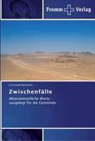 Zwischenfälle 3841602177 Book Cover