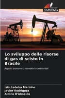 Lo sviluppo delle risorse di gas di scisto in Brasile: Aspetti economici, normativi e ambientali 6206281159 Book Cover