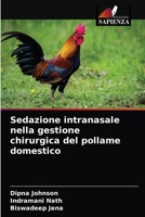 Sedazione intranasale nella gestione chirurgica del pollame domestico 6204066277 Book Cover