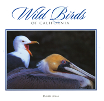 Wild Birds of California 0944197620 Book Cover