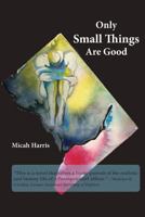 Only Small Things are Good 0999305905 Book Cover