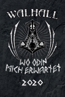 Terminkalender 2020: Odin Thor Terminkalender und Tagesplaner ca DIN A5 farbig | 376 Seiten | 1 Seite pro Tag | Wikinger | Runen Nordische Mythologie (German Edition) 1672574056 Book Cover
