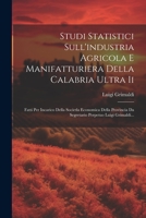 Studi Statistici Sull'industria Agricola E Manifatturiera Della Calabria Ultra Ii: Fatti Per Incarico Della Societla Economica Della Provincia Da ... Perpetuo Luigi Grimaldi... (Italian Edition) 1022356631 Book Cover
