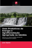 Usos Produtivos de Energia e Agroflorestação Apropriada na Gâmbia 6202993626 Book Cover