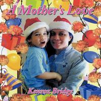 A Mother's Love 1452023824 Book Cover