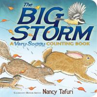 The Big Storm: A Very Soggy Counting Book 144248179X Book Cover