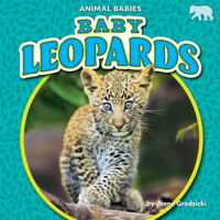 Baby Leopards 1636913636 Book Cover