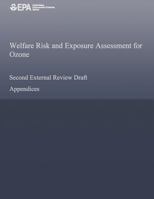 Welfare Risk and Exposure Assessment for Ozone Second External Review Draft 150056382X Book Cover
