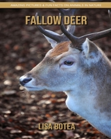 Fallow Deer: Amazing Pictures & Fun Facts on Animals in Nature 1696485940 Book Cover