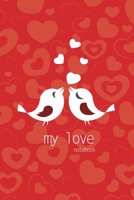 My Love Notebook, Blank Write-in Journal, Dotted Lines, Wide Ruled, Medium (A5) 6 x 9 In (Red) 1714383423 Book Cover