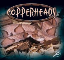 Copperheads 1595151451 Book Cover