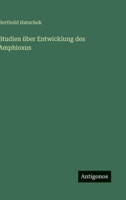 Studien über Entwicklung des Amphioxus 3368651978 Book Cover