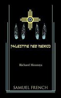 Palestine, New Mexico 0573698384 Book Cover