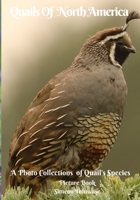Quails Of North America A Photo Collections of Quail’s species Picture Book: Gift book for Bird watchers Bird Lovers Game hunter Senior Adults with ... Northern Bobwhite Scaled photobook for kids B096CG7Y2W Book Cover