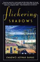 Flickering Shadows 0805054723 Book Cover