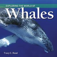 Exploring the World of Whales 1770859497 Book Cover