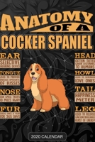 Anatomy Of A Cocker Spaniel: Cocker Spaniel 2020 Calendar - Customized Gift For Cocker Spaniel Dog Owner 1679697129 Book Cover