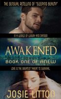 Awakened 0990604209 Book Cover
