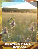 Praying Mantis Photo Book: Explore Nature's Intriguing Predator Through 40 Stunning Images Of This Unique Insect B0DQ662J9K Book Cover