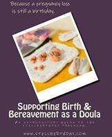 Supporting Birth & Bereavement as a Doula: A concise guide based on stillbirthday training 1500942162 Book Cover