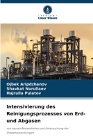 Intensivierung des Reinigungsprozesses von Erd- und Abgasen (German Edition) 6206449971 Book Cover