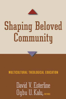Shaping Beloved Community: Multicultural Theological Education 0664229379 Book Cover