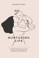 Nurturing Life: A Trimester based collection of Prayers and Affirmations for Pregnancy and Postpartum B0FZ6HNV4C Book Cover