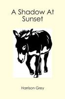 A Shadow At Sunset 1419681354 Book Cover