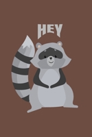 Cute Hey Raccoon Notebook Gift: A Raccoon Lined Notebook, Ideal for taking notes, jotting lists 1670038564 Book Cover