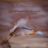 A Sandhill Sees 1470168073 Book Cover