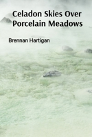Celadon Skies Over Porcelain Meadows: A Ceramicist's Odyssey Through Form, Texture, and Translucence B0DTBVN7KJ Book Cover