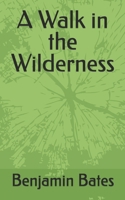 A Walk in the Wilderness B0DHXYB5F1 Book Cover