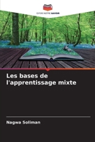Les bases de l'apprentissage mixte (French Edition) 6209336507 Book Cover