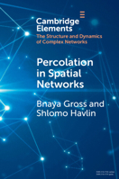 Percolation in Spatial Networks: Spatial Network Models Beyond Nearest Neighbours Structures 1009168088 Book Cover