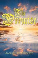 The Promise 1643000837 Book Cover