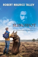 Slingshot: King David's Slingshot B0FMXT8H1B Book Cover