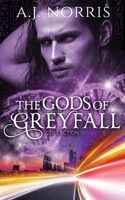 The Gods of Greyfall Collection 1732023816 Book Cover