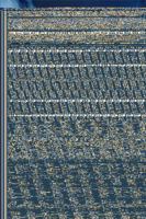 Praise Empowering Poetry 1493156926 Book Cover