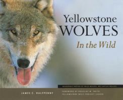 Yellowstone Wolves in the Wild 1931832269 Book Cover