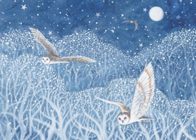 Owls in Flight Deluxe Boxed Holiday Cards (20 Cards, 21 Self-Sealing Envelopes) 1441345841 Book Cover